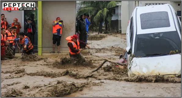 international international